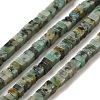 Natural African Turquoise(Jasper) Beads Strands G-N342-83-1