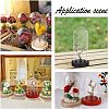  12Pcs 2 Style Mini Cloche Bell Jars DIY-NB0007-75-7