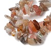 Natural Striped Agate/Banded Agate Chips Beads Strands F022-3