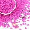 Baking Paint Glass Seed Beads SEED-L011-09A-13-1