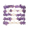 5Pcs 5 Style Natural Amethyst Chips Stretch Bracelets Set BJEW-JB09551-01-2