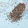 Glass Seed Beads X-SEED-S059-002-7