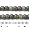 Ombre Effect Dyed Glass Beads Strands X-GLAA-T031-01O-13-5