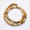 Natural Fossil Coral Beads Strands G-G697-F01-4mm-2