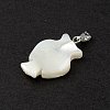 Natural Trochid Shell/Trochus Shell Pendants SSHEL-M021-12-5