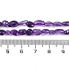 Natural Amethyst Beads Strands G-P497-01B-19-5