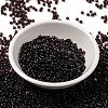 MIYUKI Round Rocailles Beads SEED-X0055-RR2402-2