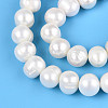 Natural Cultured Freshwater Pearl Beads Strands PEAR-N013-10D-01-3