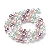 Shell Pearl Bead Strands BSHE-L017-10-2