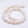 Natural Cultured Freshwater Pearl Beads Strands PEAR-P002-14-2