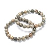 Natural Silver Leaf Jasper Stretch Beaded Bracelets G-A185-01D-2