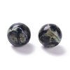 Natural Kambaba Jasper Beads G-D456-10-2