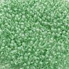 TOHO Round Seed Beads X-SEED-TR08-0975-2