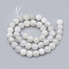 Natural Rainbow Moonstone Beads Strands G-S333-10mm-002-3