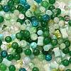 Mixed Style Glass Beads GLAA-XCP0012-02K-1