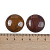 Natural Tiger Iron Cabochons G-H1596-FR-25mm-04-3