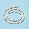 Natural Cultured Freshwater Pearl Beads Strands PEAR-J006-14A-01-3