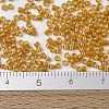 MIYUKI Delica Beads SEED-MY11-DB0272-4