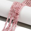 Natural Strawberry Quartz Beads Strands G-H042-B11-01A-2