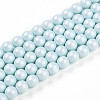 Baking Painted Pearlized Glass Pearl Bead Strands HY-N002-5mm-B01-2