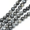  5 Strands Natural Labradorite Beads Strands G-NB0004-55-7