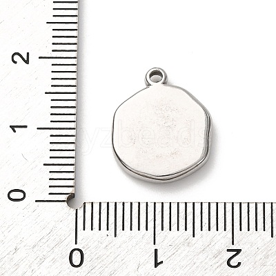 304 Stainless Steel Pendants STAS-I348-02P-03-1