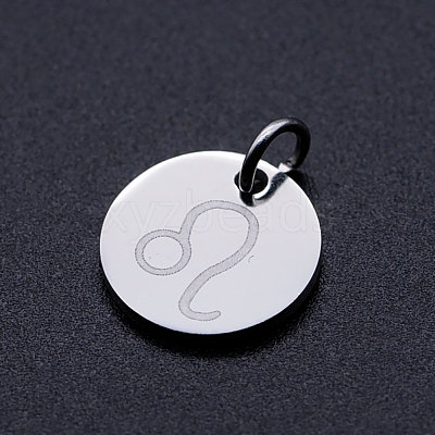 Non-Tarnish 201 Stainless Steel Charms STAS-T049-T643-5P-1