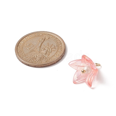 Acrylic Pendants PALLOY-TA00023-1