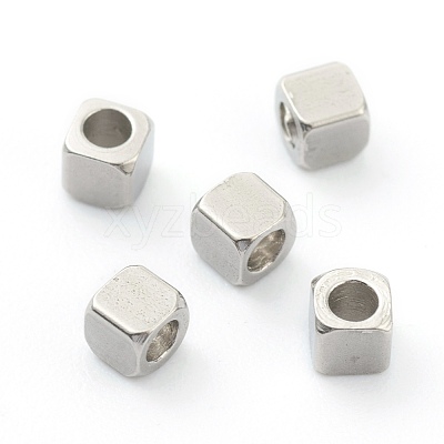 Non-Tarnish 304 Stainless Steel Beads STAS-H160-02A-P-1