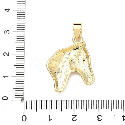 Brass Pendants KK-H539-19F-G-1