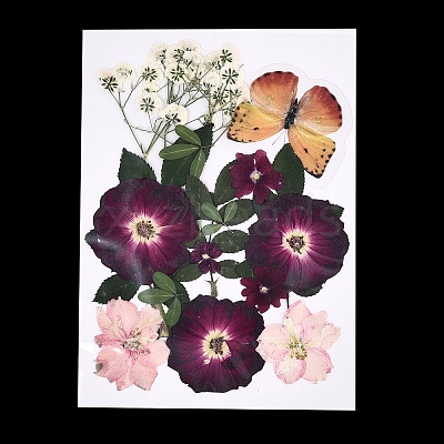 Pressed Dried Flowers DIY-YWC0001-98-1-1