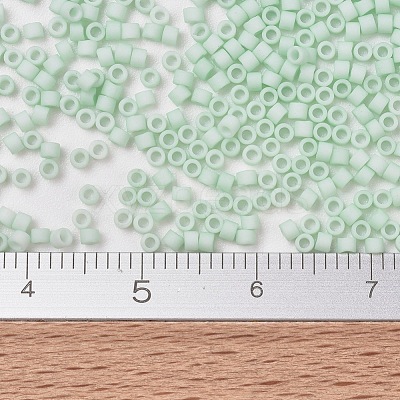 MIYUKI Delica Beads X-SEED-J020-DB1516-1