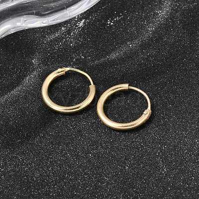 Brass Hoop Earrings EJEW-G474-01G-01-1