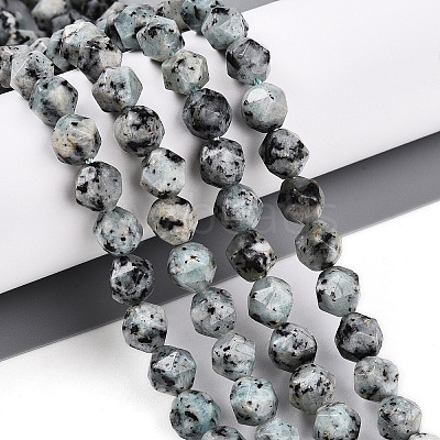 Dyed Natural Sesame Jasper Beads Strands G-T139-8mm-47J-1