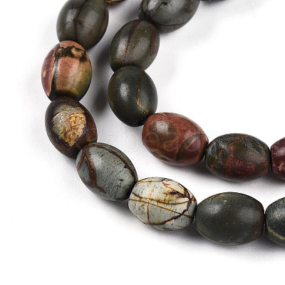 Natural Picasso Jasper/Polychrome Jasper Beads Strands G-N346-02B-05-1