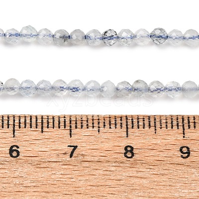 Natural Aquamarine Beads Strands G-F509-10-3mm-1