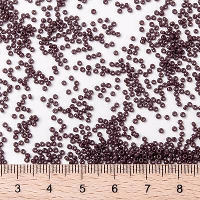 MIYUKI Round Rocailles Beads X-SEED-G009-RR0497-1