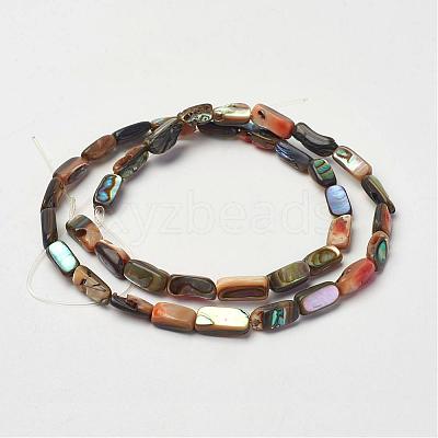 Natural Paua Shell Beads Strands G-D171-03-1