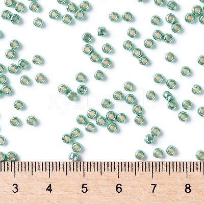 TOHO Round Seed Beads SEED-XTR08-PF0561-1