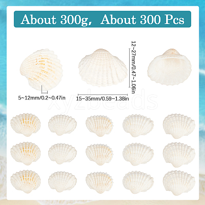 300Pcs Natural Shell Beads SSHEL-SP0001-03-1