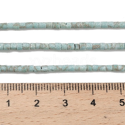 Dyed Synthetic Turquoise Beads Strands G-P594-01B-05-1