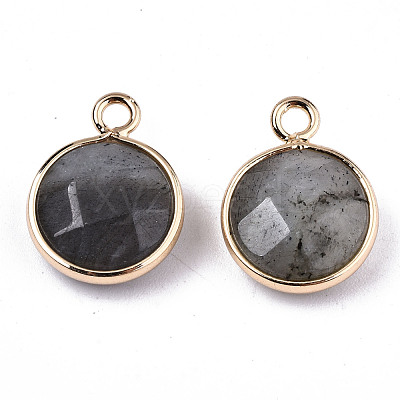 Gemstone Pendants G-T131-101-1