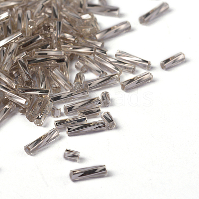 Glass Twist Bugles Seed Beads TTSDB6MM21-1