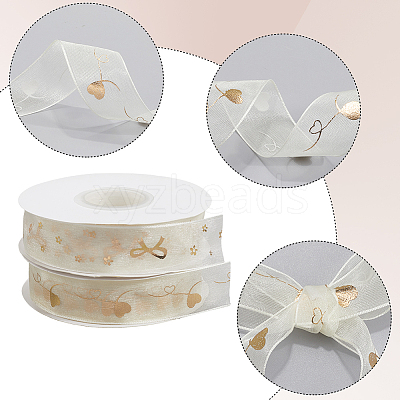 2 Rolls 2 Styles Chiffon Lace Trim for Sewing Decoration OCOR-CY0001-65A-1