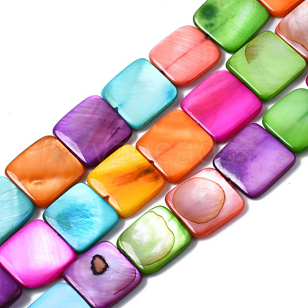 Natural Freshwater Shell Beads Strands SHEL-S278-020-1