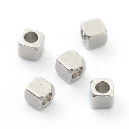 Non-Tarnish 304 Stainless Steel Beads STAS-H160-02A-P-1