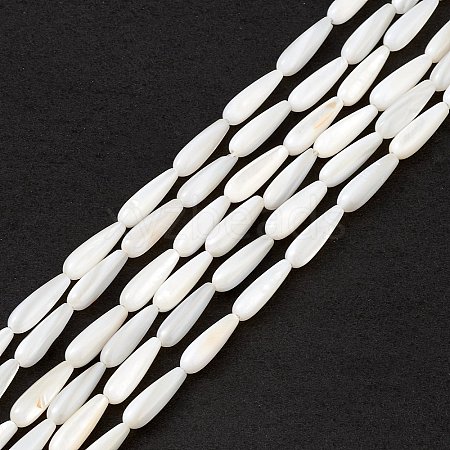 Natural Freshwater Shell Beads Strands SHEL-M018-09-1