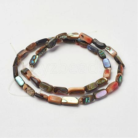 Natural Paua Shell Beads Strands G-D171-03-1