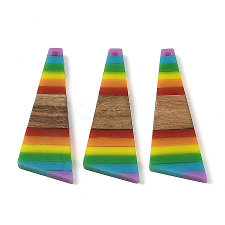 Pride Rainbow Theme Resin & Walnut Wood Pendants WOOD-K012-08A-1