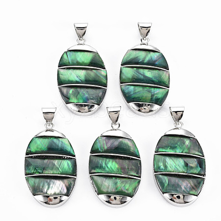 Natural Abalone Shell/Paua Shell Big Pendants SHEL-N333-009A-B01-1